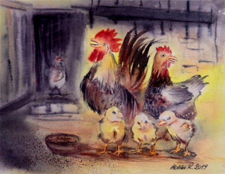 Une famille de coq poule poussins pose pour la photo.
